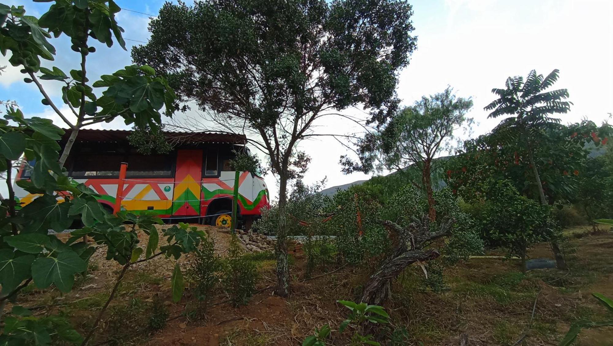 Los Nopales Glamping Sachica Exterior photo